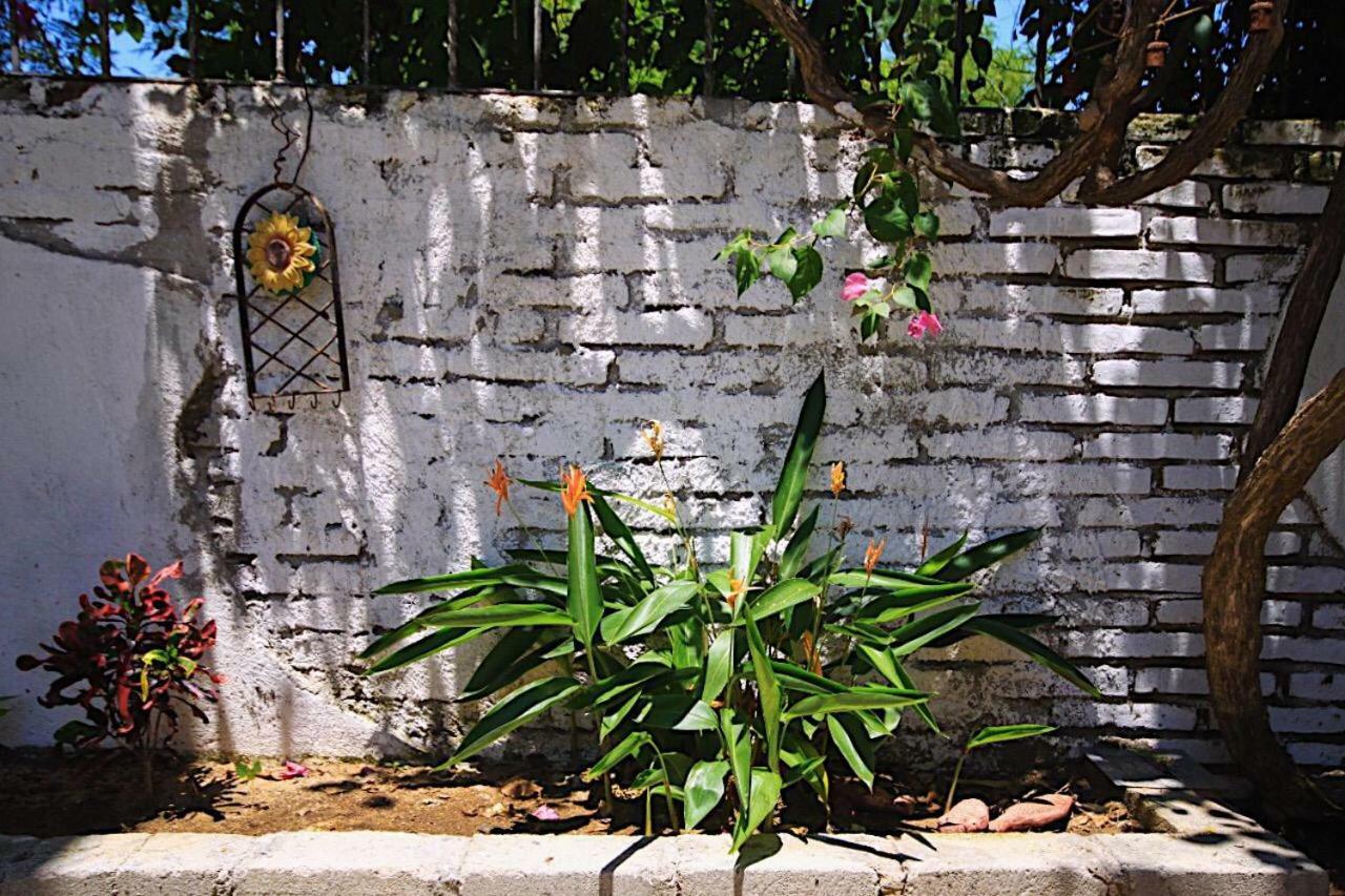 Casita Piedra Διαμέρισμα Puerto Escondido  Εξωτερικό φωτογραφία